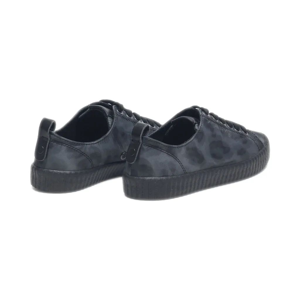 Calvin Klein Lace Ups Canvas Grey Colour For Women