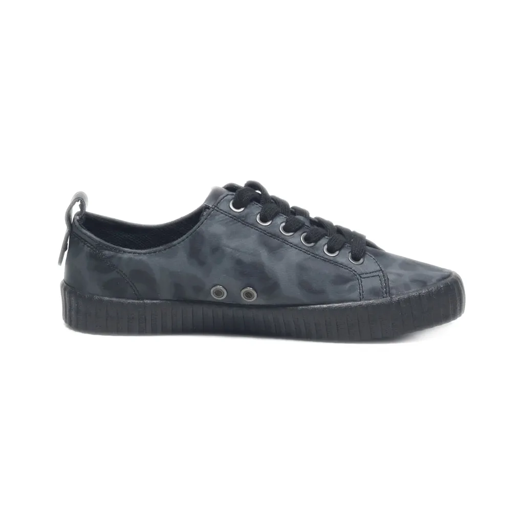 Calvin Klein Lace Ups Canvas Grey Colour For Women